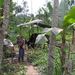 2005_indonesiatrip_287_2